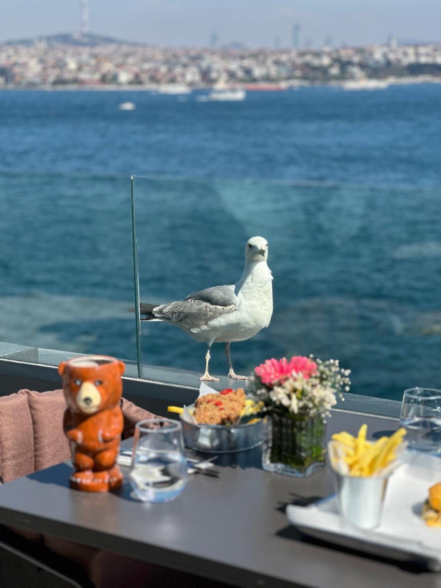 Pera Bosphorus Hotel اسطنبول المظهر الخارجي الصورة